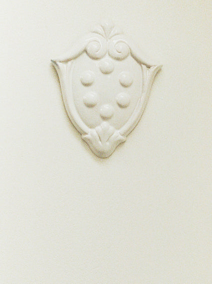 Stemma Medici